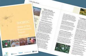 shoroc-soe-10.jpg